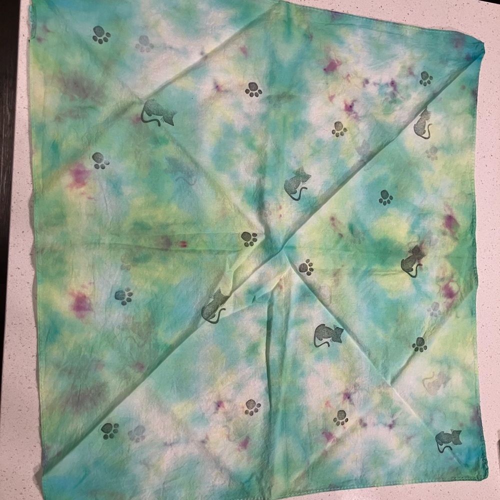 Colorful Cat Print Scarf